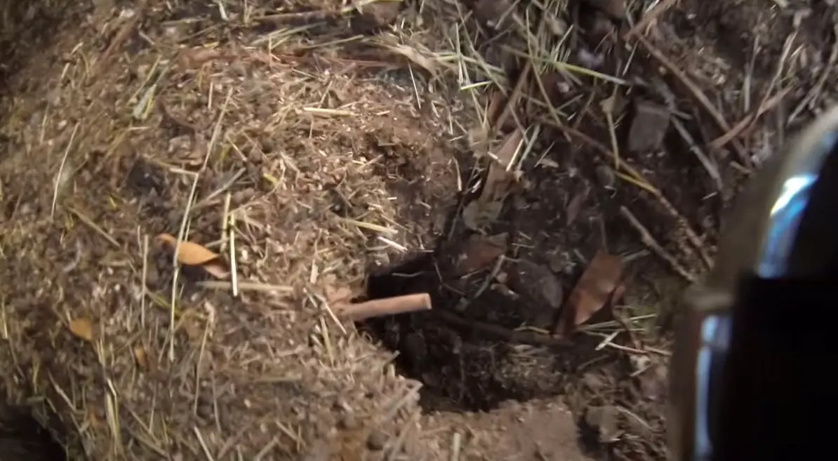 La madriguera del conejo