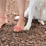 O que significa pisar nos pés de um cachorro?